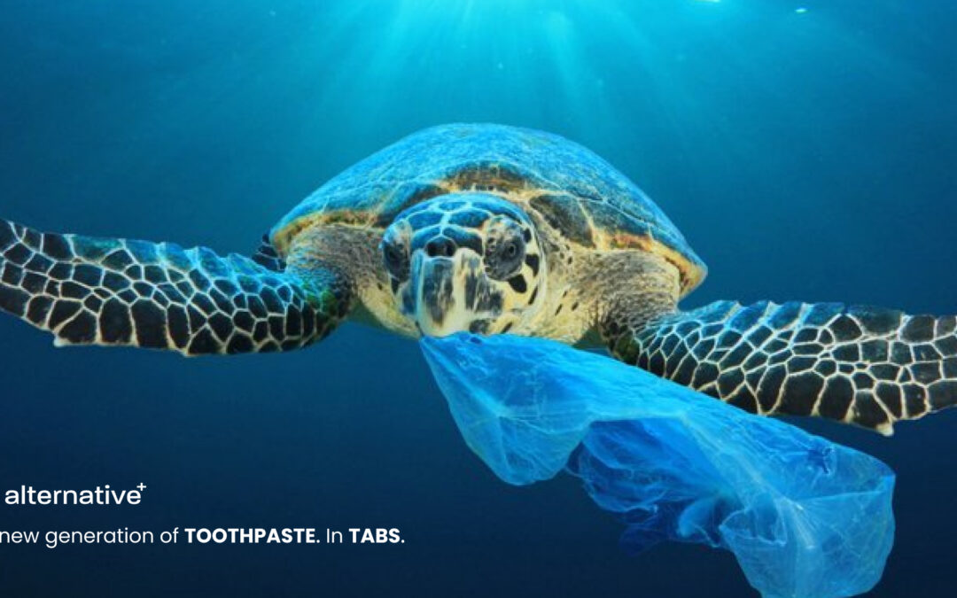 What can you do about plastic pollution?